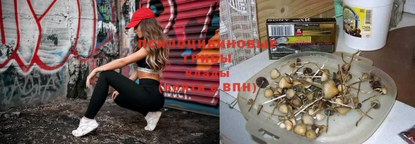 jwh Беломорск